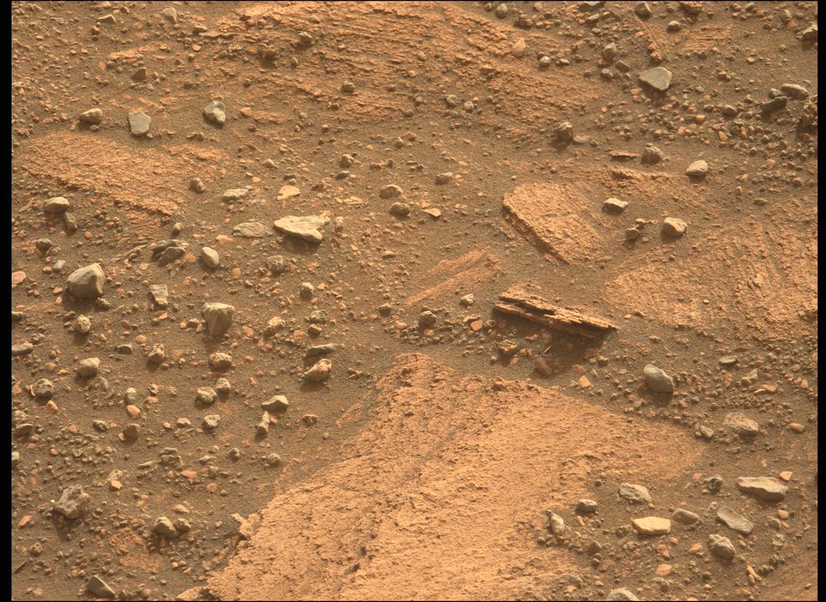 This image was taken by MCZ_LEFT onboard NASA's Mars rover Perseverance on Sol 451