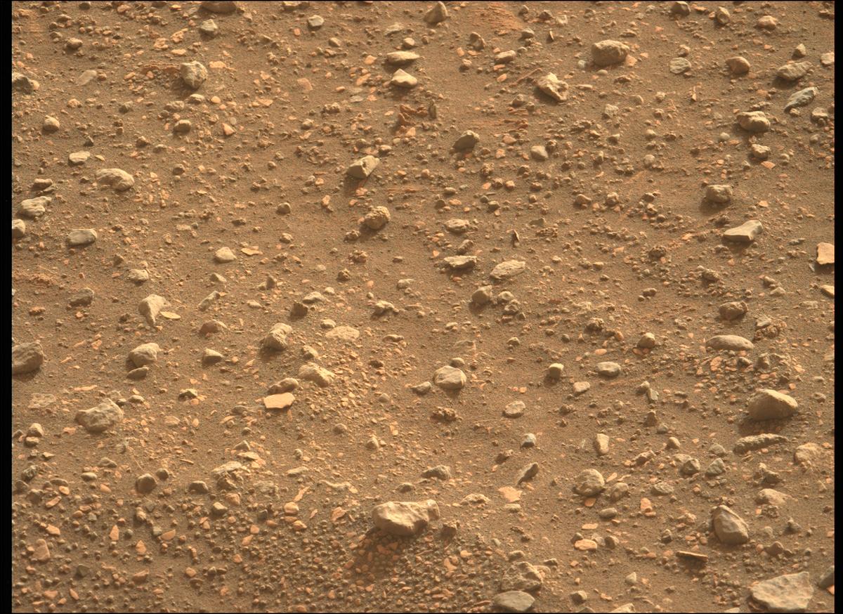 This image was taken by MCZ_LEFT onboard NASA's Mars rover Perseverance on Sol 451