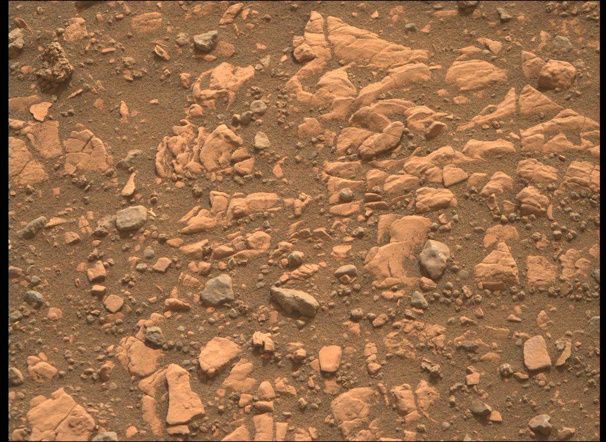 This image was taken by MCZ_RIGHT onboard NASA's Mars rover Perseverance on Sol 451