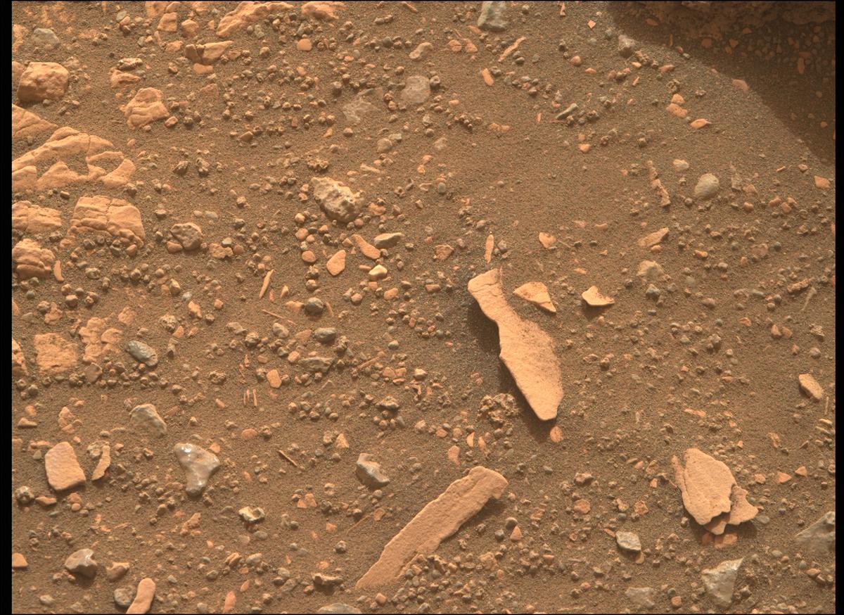 This image was taken by MCZ_RIGHT onboard NASA's Mars rover Perseverance on Sol 451