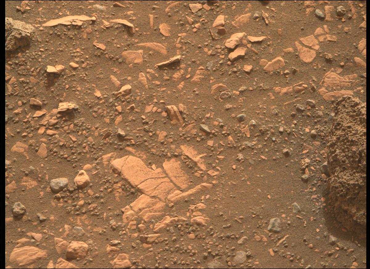 This image was taken by MCZ_RIGHT onboard NASA's Mars rover Perseverance on Sol 451