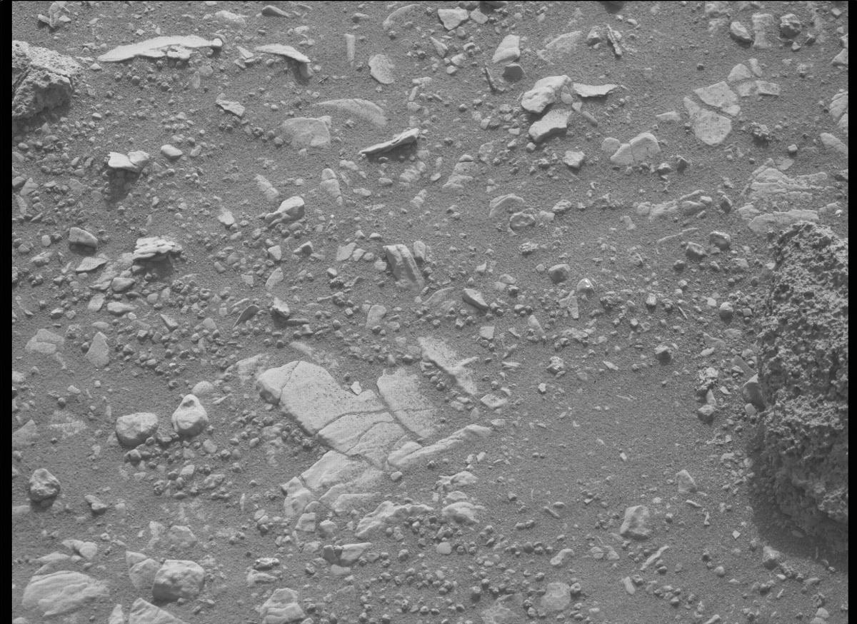 This image was taken by MCZ_RIGHT onboard NASA's Mars rover Perseverance on Sol 451