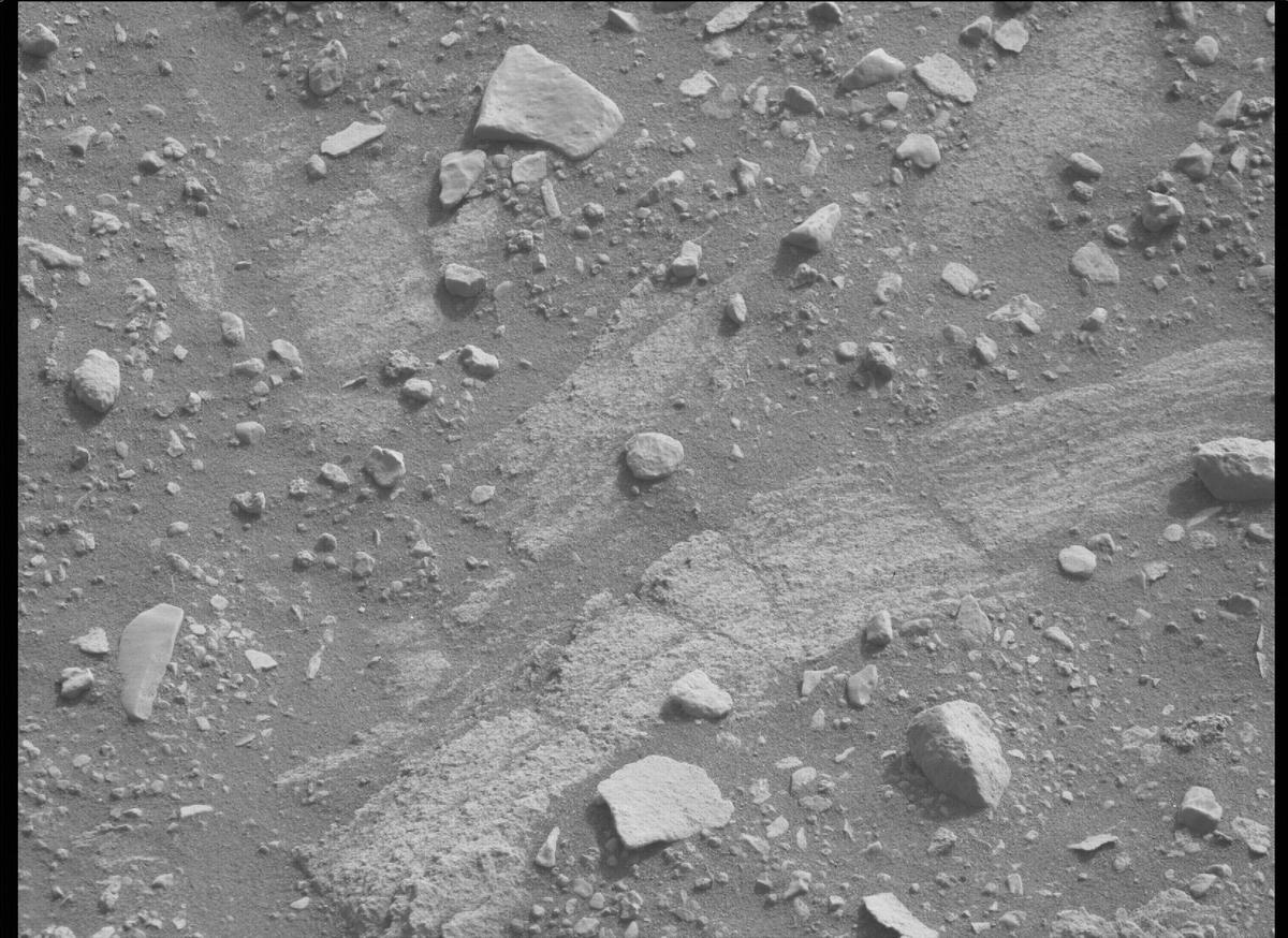 This image was taken by MCZ_RIGHT onboard NASA's Mars rover Perseverance on Sol 451