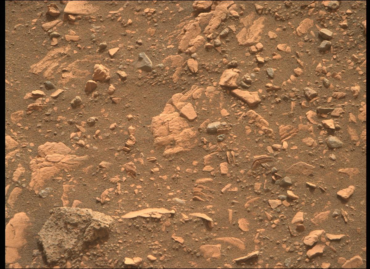 This image was taken by MCZ_RIGHT onboard NASA's Mars rover Perseverance on Sol 451