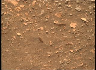 View image taken on Mars, Mars Perseverance Sol 451: Right Mastcam-Z Camera