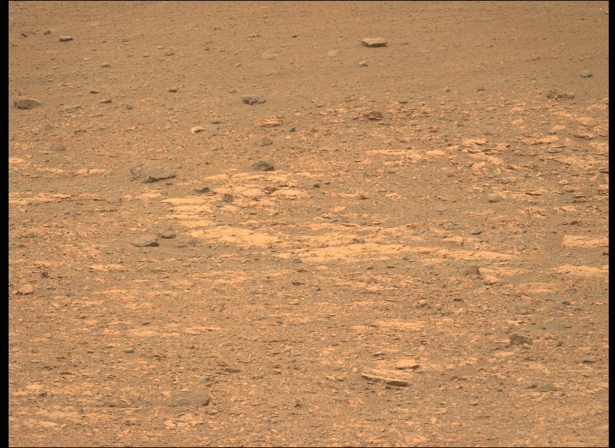 This image was taken by MCZ_LEFT onboard NASA's Mars rover Perseverance on Sol 453
