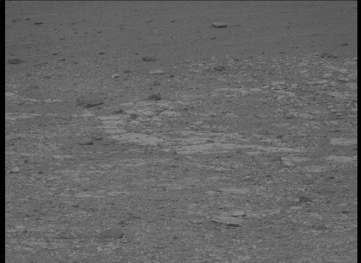 This image was taken by MCZ_LEFT onboard NASA's Mars rover Perseverance on Sol 453