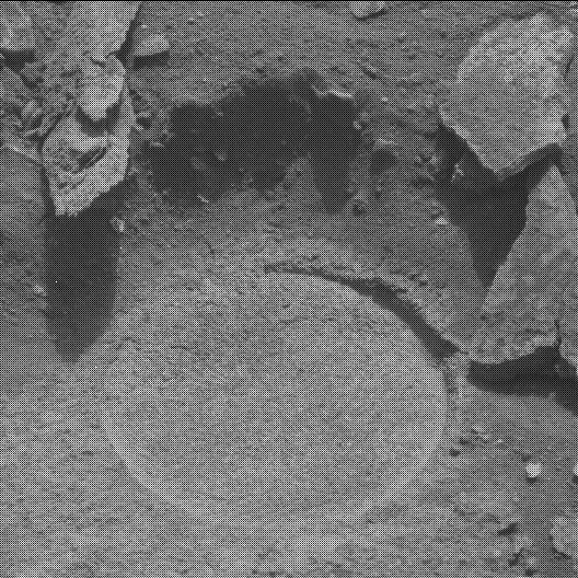 This image was taken by MCZ_LEFT onboard NASA's Mars rover Perseverance on Sol 453
