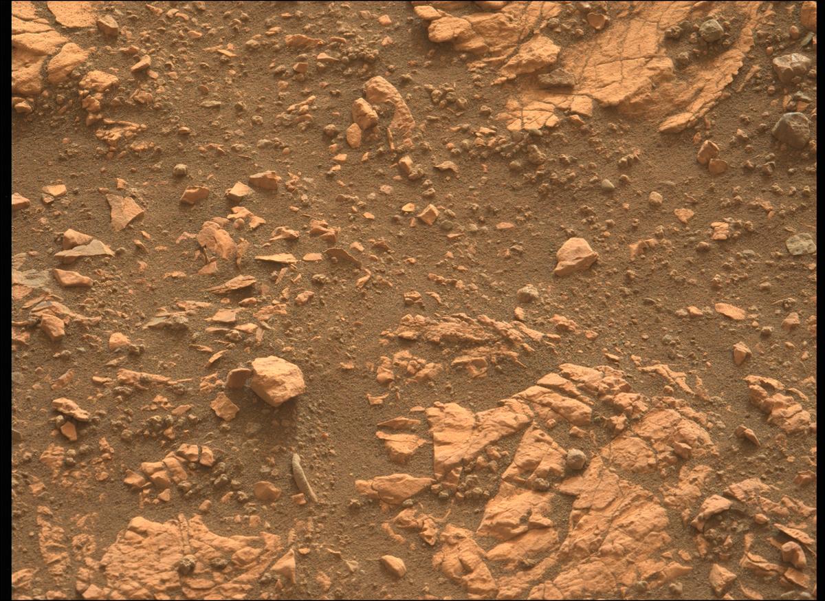 This image was taken by MCZ_LEFT onboard NASA's Mars rover Perseverance on Sol 455