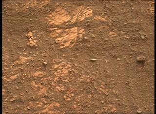 View image taken on Mars, Mars Perseverance Sol 455: Right Mastcam-Z Camera