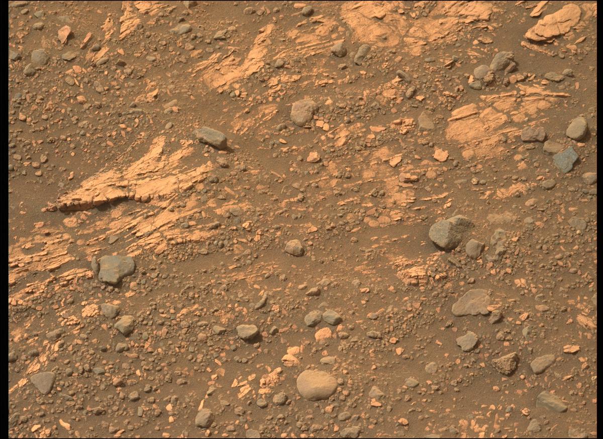 This image was taken by MCZ_LEFT onboard NASA's Mars rover Perseverance on Sol 456