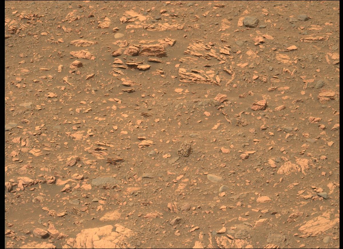 This image was taken by MCZ_LEFT onboard NASA's Mars rover Perseverance on Sol 456