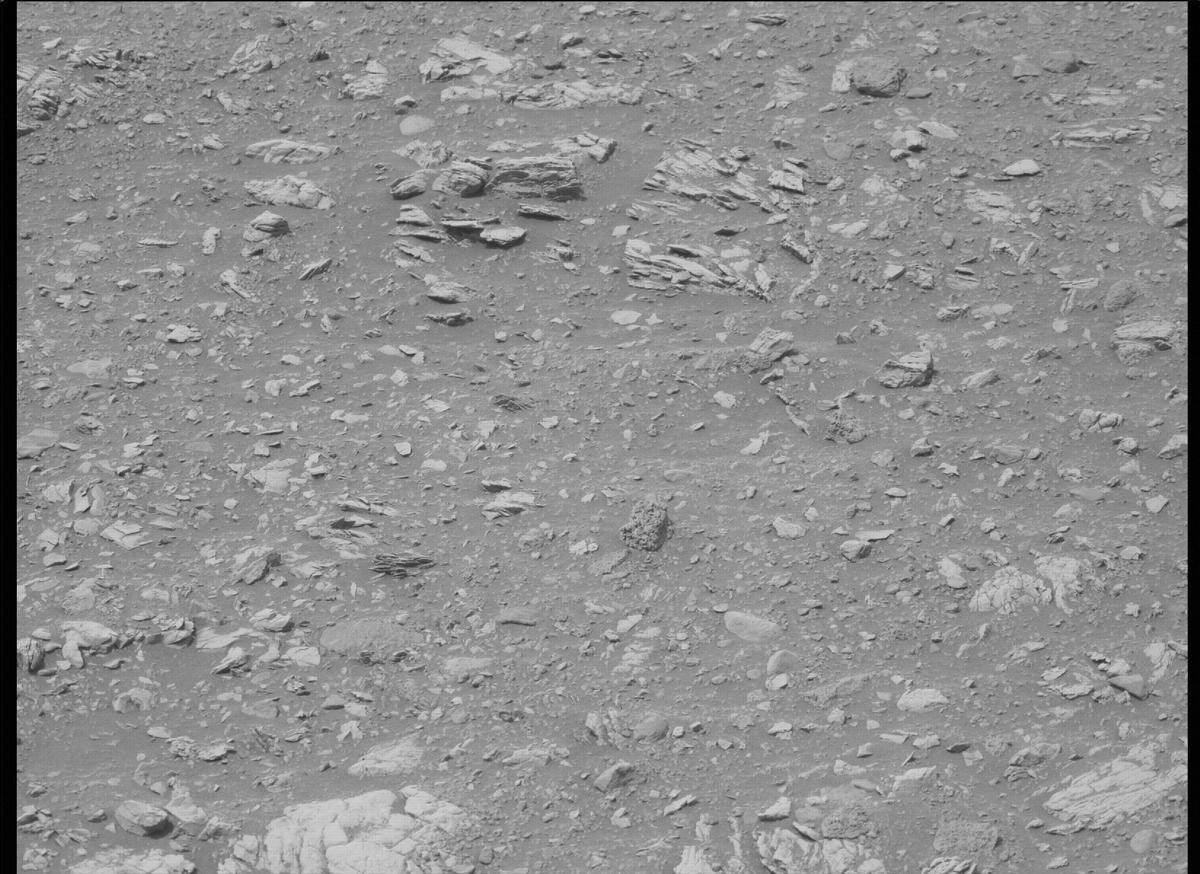 This image was taken by MCZ_LEFT onboard NASA's Mars rover Perseverance on Sol 456