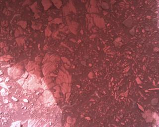 View image taken on Mars, Mars Perseverance Sol 458: Rover Down-Look Camera