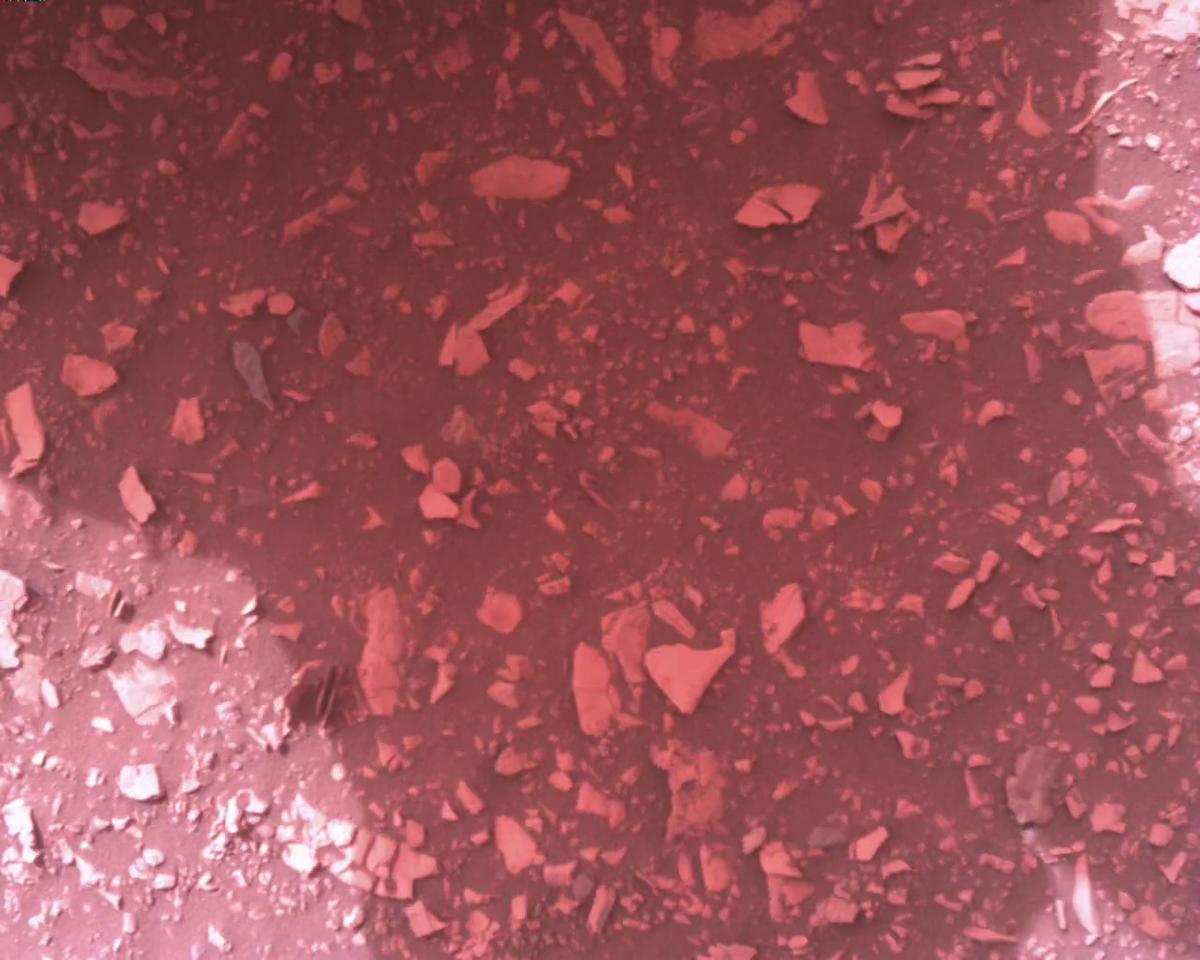 This image was taken by EDL_RDCAM onboard NASA's Mars rover Perseverance on Sol 458