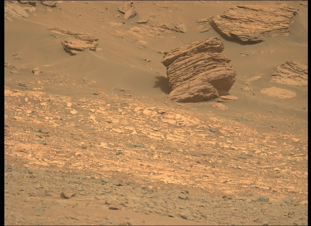 This image was taken by MCZ_LEFT onboard NASA's Mars rover Perseverance on Sol 459