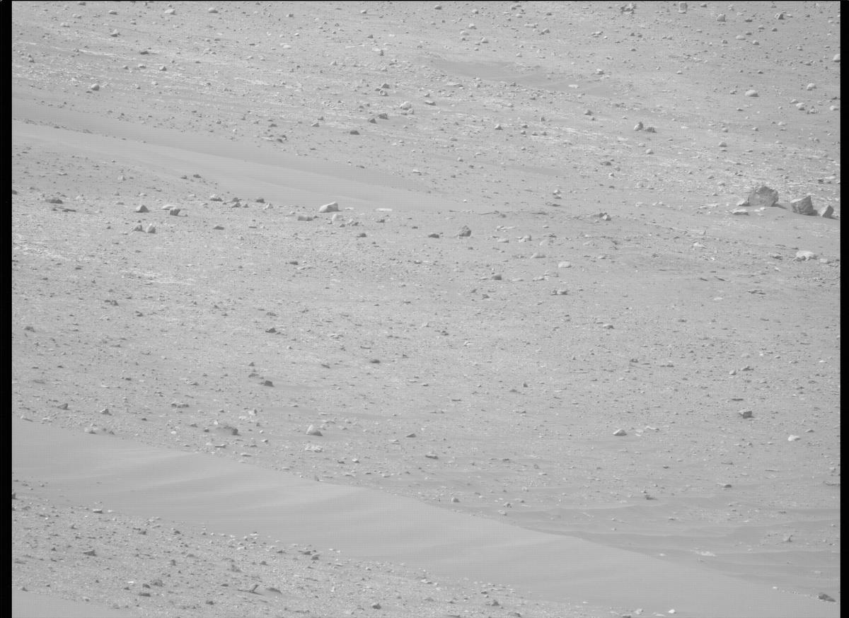 This image was taken by MCZ_LEFT onboard NASA's Mars rover Perseverance on Sol 459