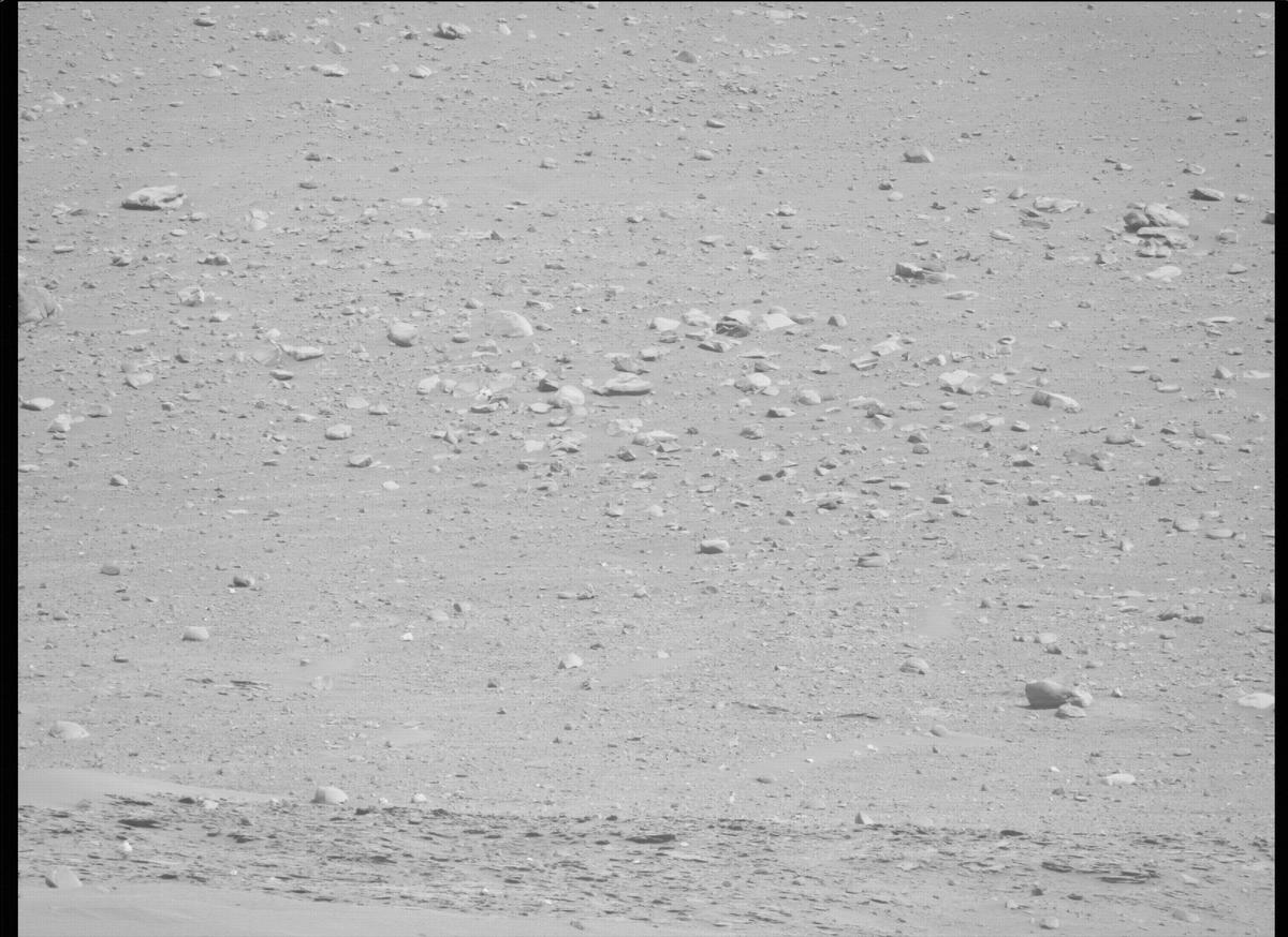 This image was taken by MCZ_LEFT onboard NASA's Mars rover Perseverance on Sol 459