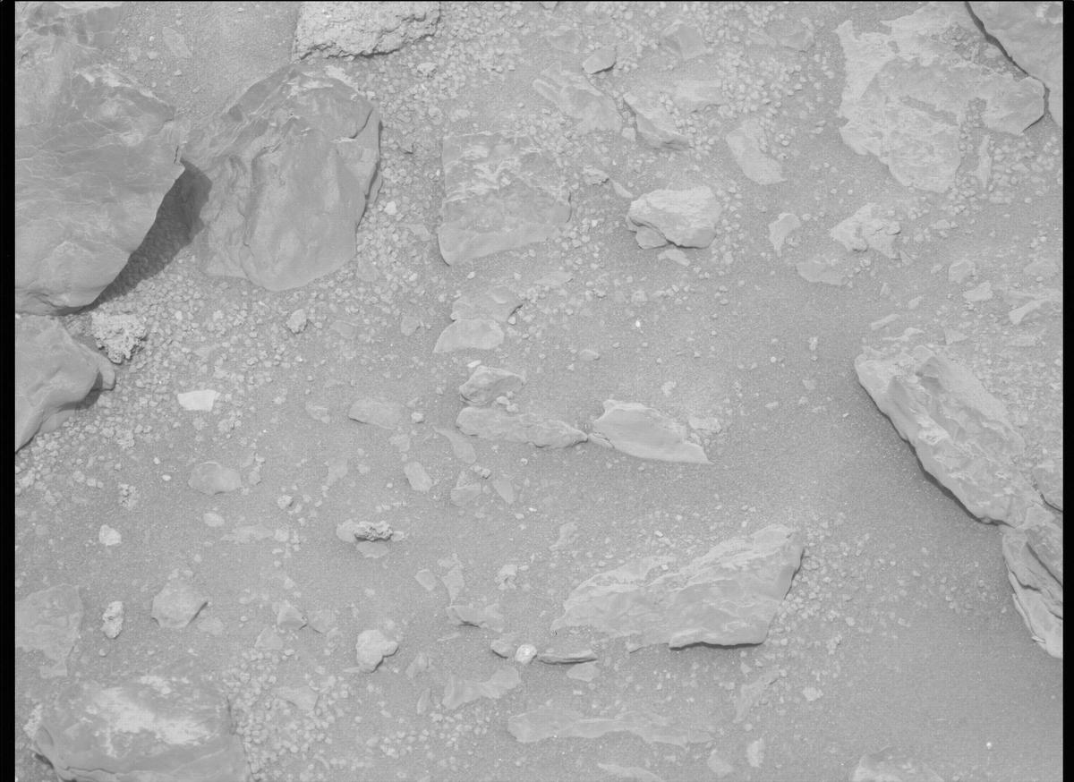 This image was taken by MCZ_LEFT onboard NASA's Mars rover Perseverance on Sol 459