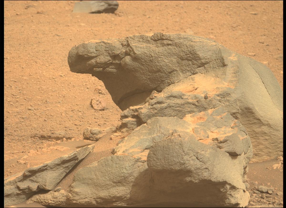 This image was taken by MCZ_LEFT onboard NASA's Mars rover Perseverance on Sol 459