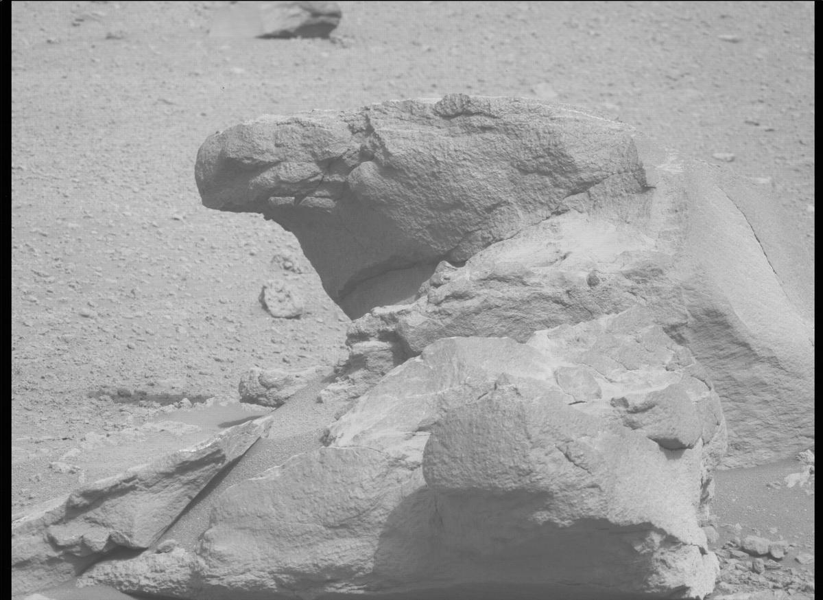 This image was taken by MCZ_LEFT onboard NASA's Mars rover Perseverance on Sol 459