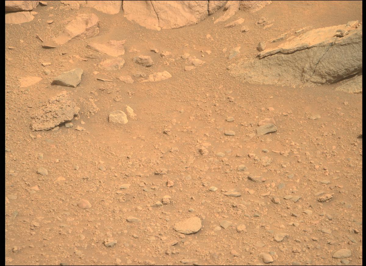 This image was taken by MCZ_RIGHT onboard NASA's Mars rover Perseverance on Sol 459