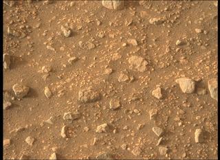 View image taken on Mars, Mars Perseverance Sol 460: Left Mastcam-Z Camera