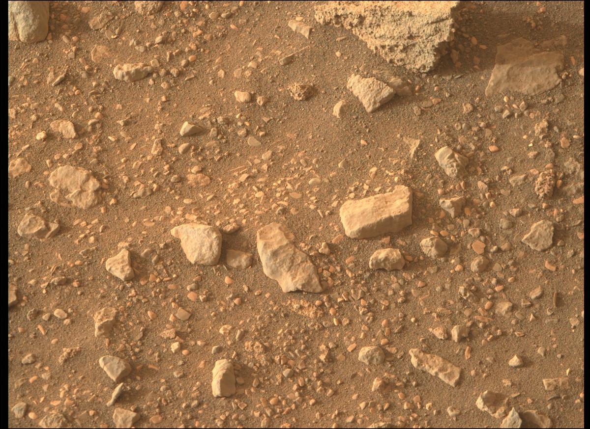 This image was taken by MCZ_RIGHT onboard NASA's Mars rover Perseverance on Sol 460