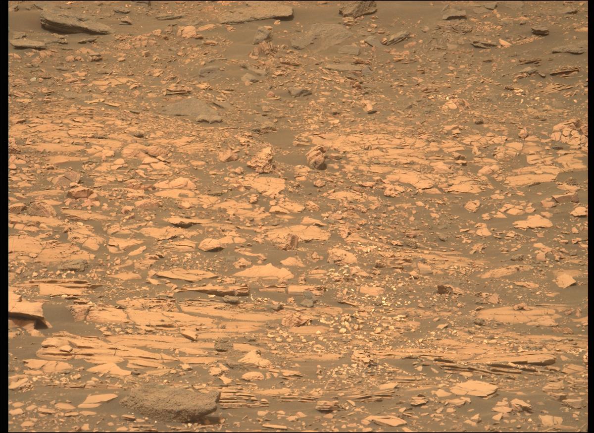 This image was taken by MCZ_LEFT onboard NASA's Mars rover Perseverance on Sol 461