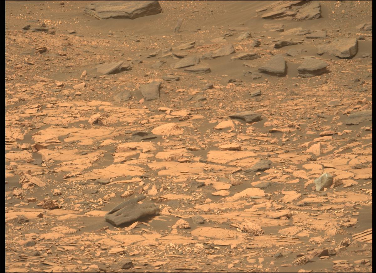 This image was taken by MCZ_LEFT onboard NASA's Mars rover Perseverance on Sol 461