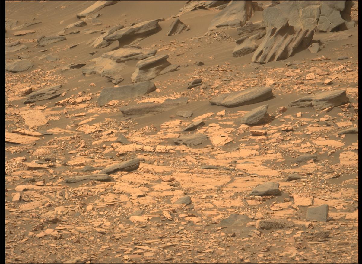 This image was taken by MCZ_LEFT onboard NASA's Mars rover Perseverance on Sol 461