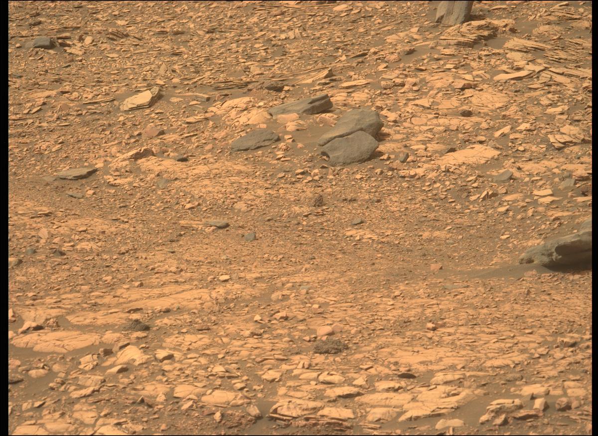 This image was taken by MCZ_LEFT onboard NASA's Mars rover Perseverance on Sol 461