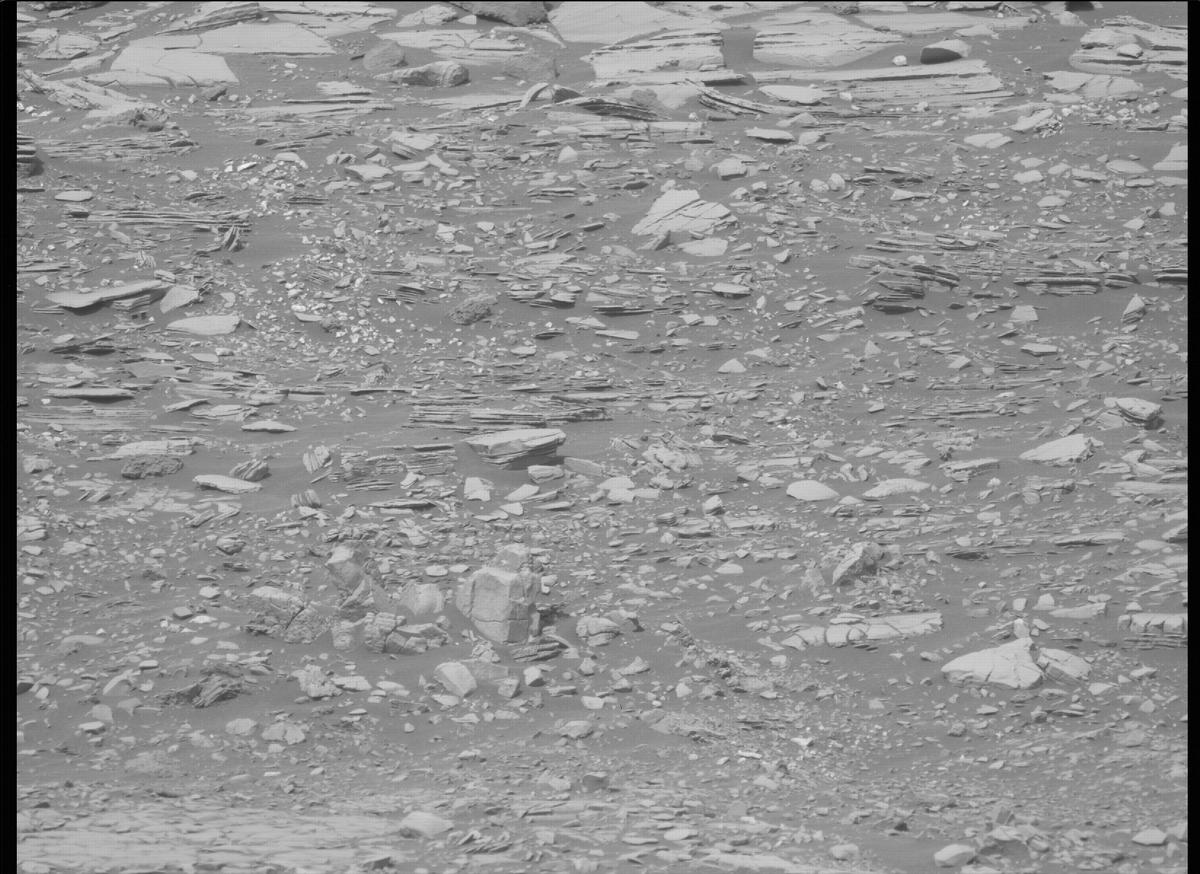 This image was taken by MCZ_LEFT onboard NASA's Mars rover Perseverance on Sol 461