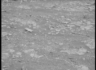 View image taken on Mars, Mars Perseverance Sol 461: Left Mastcam-Z Camera