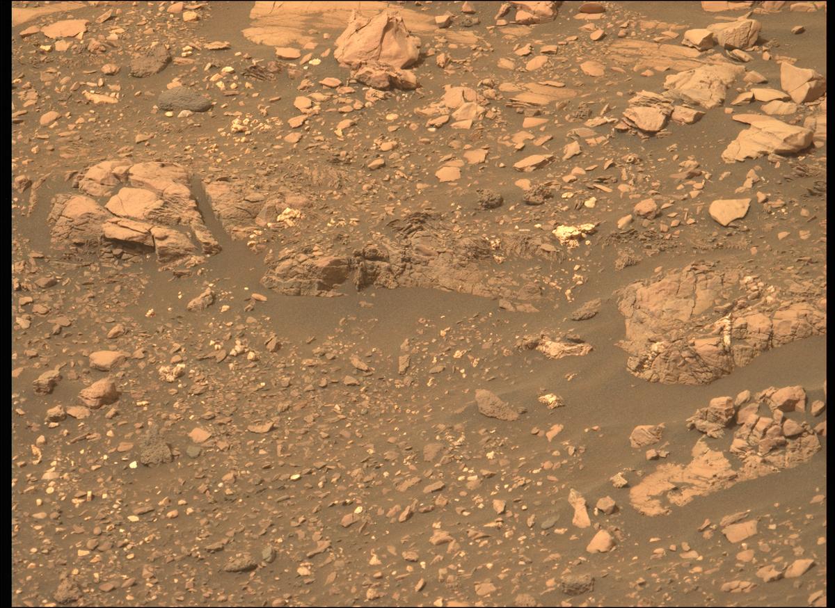 This image was taken by MCZ_LEFT onboard NASA's Mars rover Perseverance on Sol 461
