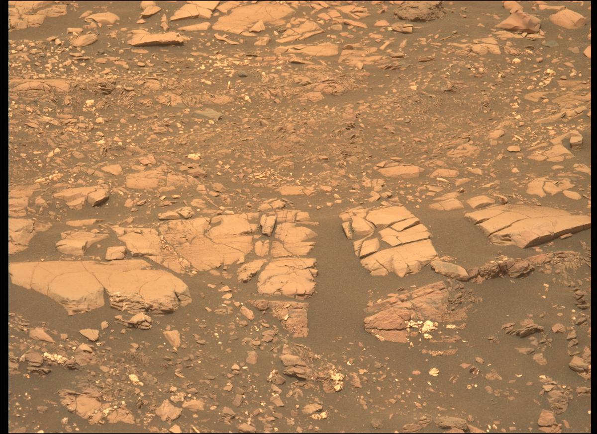 This image was taken by MCZ_LEFT onboard NASA's Mars rover Perseverance on Sol 461