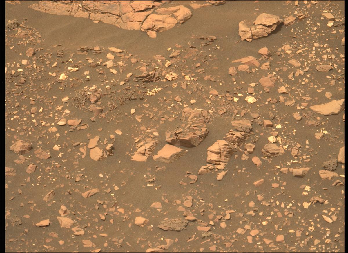 This image was taken by MCZ_LEFT onboard NASA's Mars rover Perseverance on Sol 461