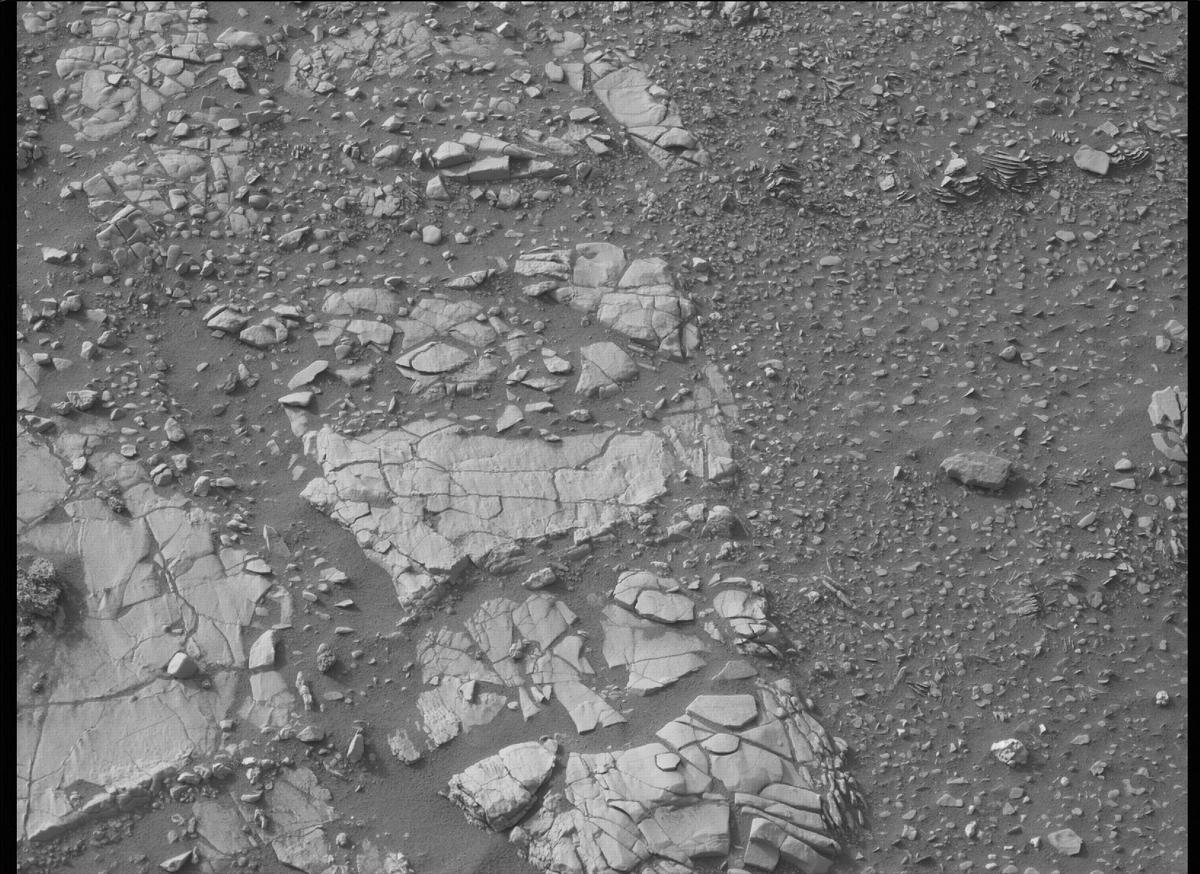 This image was taken by MCZ_LEFT onboard NASA's Mars rover Perseverance on Sol 461