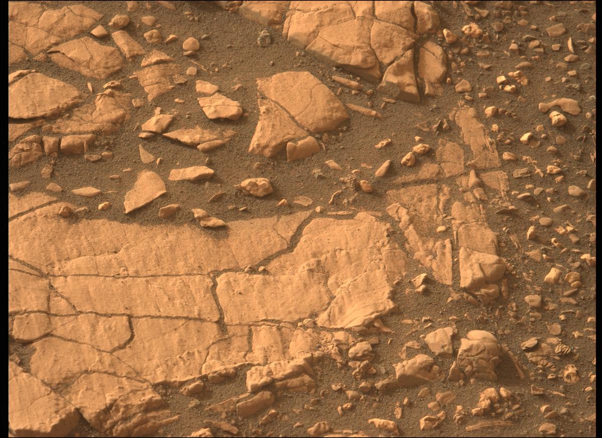 This image was taken by MCZ_LEFT onboard NASA's Mars rover Perseverance on Sol 461