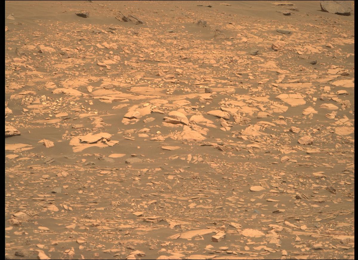 This image was taken by MCZ_RIGHT onboard NASA's Mars rover Perseverance on Sol 461