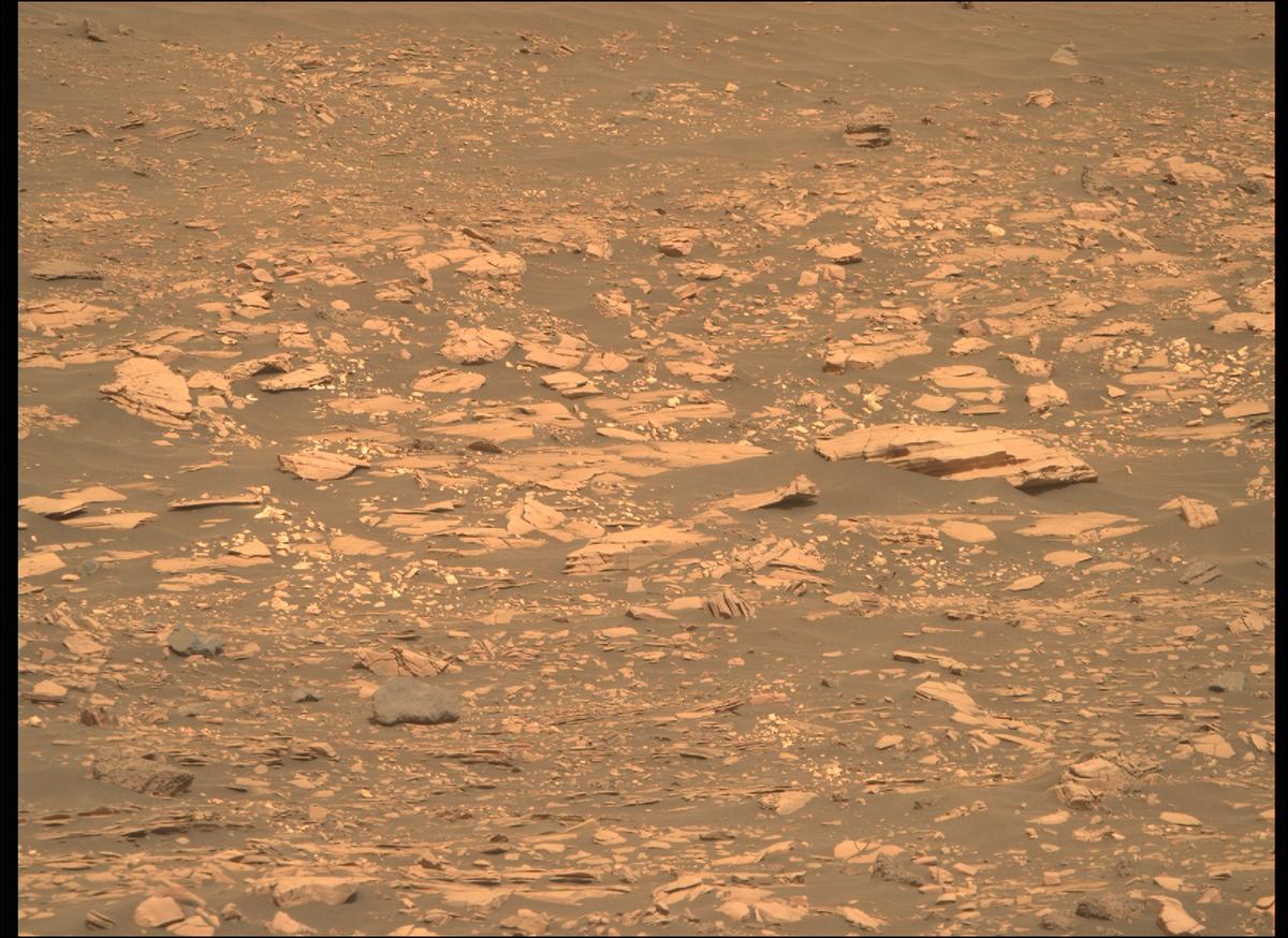 This image was taken by MCZ_RIGHT onboard NASA's Mars rover Perseverance on Sol 461