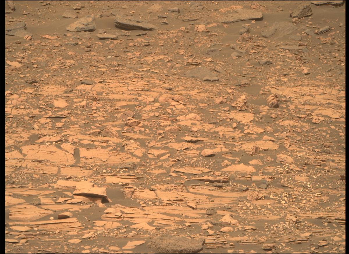 This image was taken by MCZ_RIGHT onboard NASA's Mars rover Perseverance on Sol 461