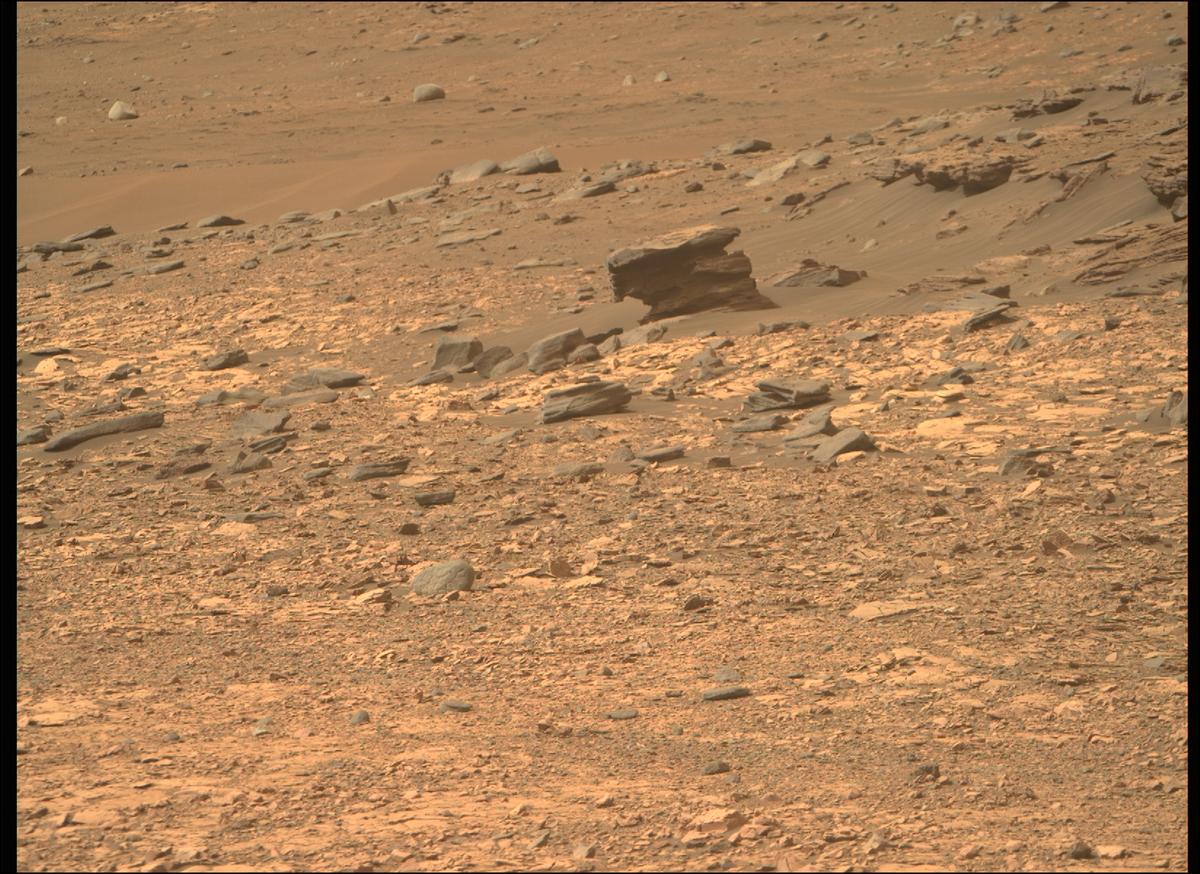 This image was taken by MCZ_RIGHT onboard NASA's Mars rover Perseverance on Sol 461