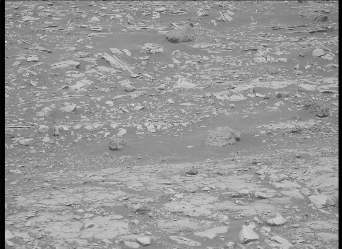 This image was taken by MCZ_RIGHT onboard NASA's Mars rover Perseverance on Sol 461