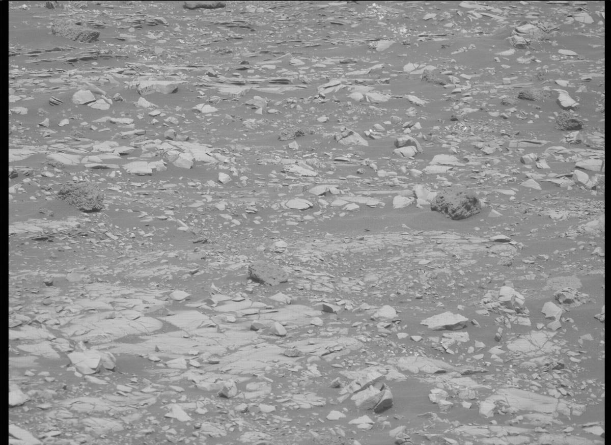 This image was taken by MCZ_RIGHT onboard NASA's Mars rover Perseverance on Sol 461