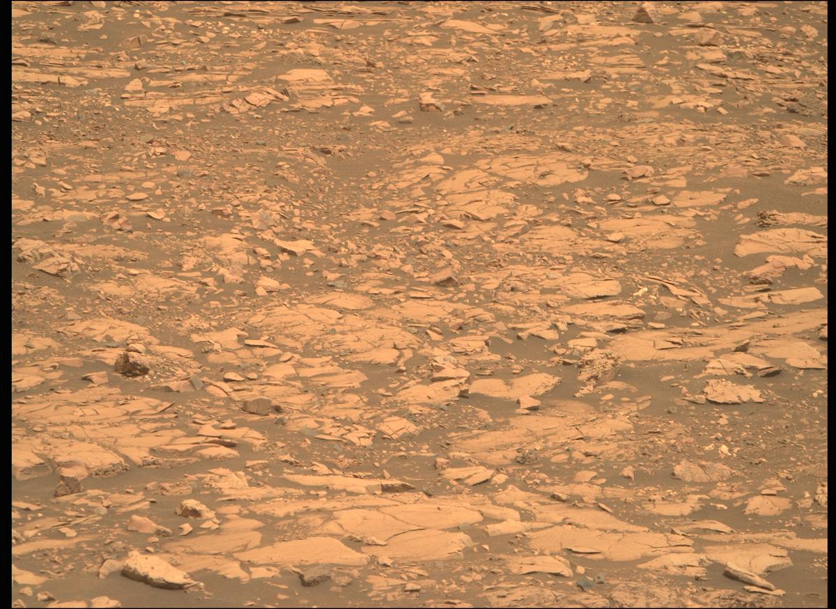 This image was taken by MCZ_RIGHT onboard NASA's Mars rover Perseverance on Sol 461