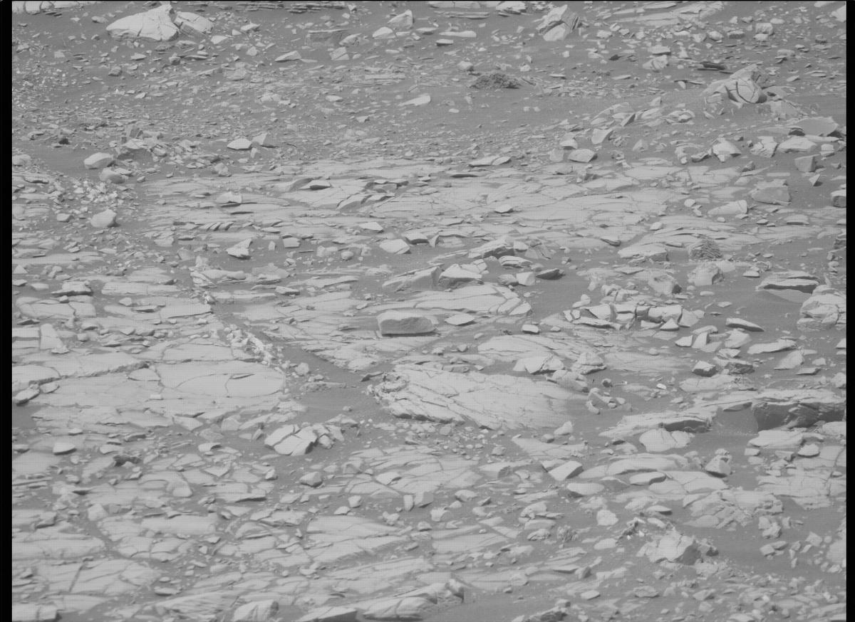 This image was taken by MCZ_RIGHT onboard NASA's Mars rover Perseverance on Sol 461