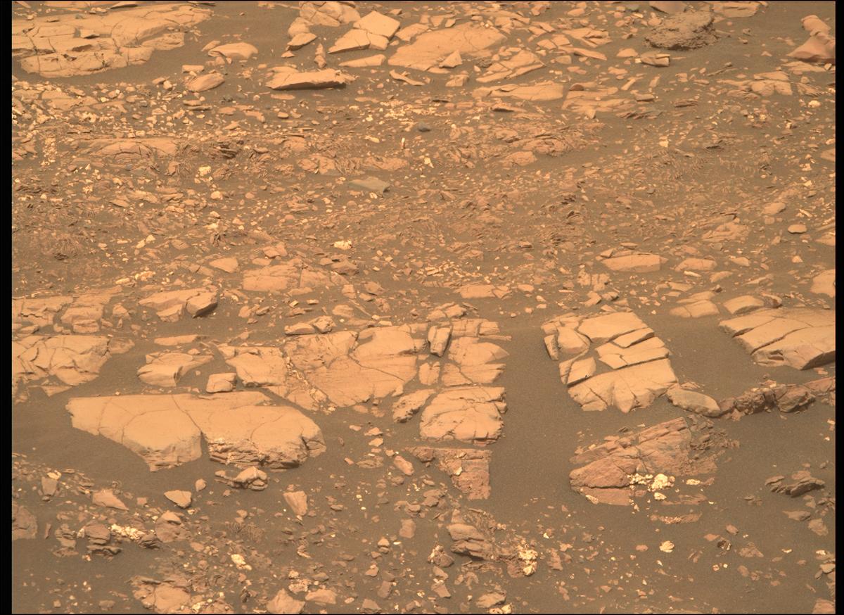 This image was taken by MCZ_RIGHT onboard NASA's Mars rover Perseverance on Sol 461