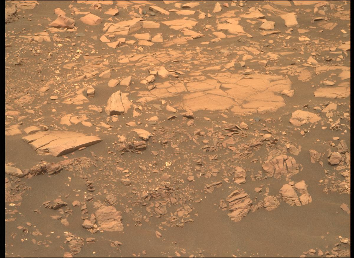 This image was taken by MCZ_RIGHT onboard NASA's Mars rover Perseverance on Sol 461