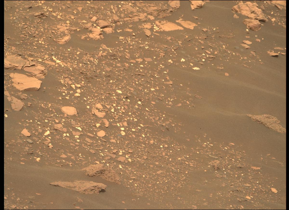 This image was taken by MCZ_RIGHT onboard NASA's Mars rover Perseverance on Sol 461